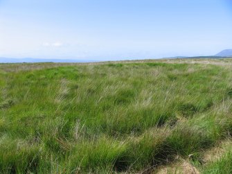 View of hut circle 'B' at NR 90646 32468 from the SE.