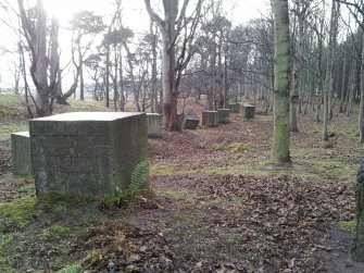 Looking SW is a line of concrete anti-tank blocks running through Links Wood.