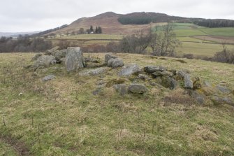 View of standing stone surrounded by field clearance