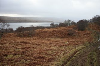 General view of possible souterrain and hut circle at Bhuachaille Loch Hope, Durness, Sutherland