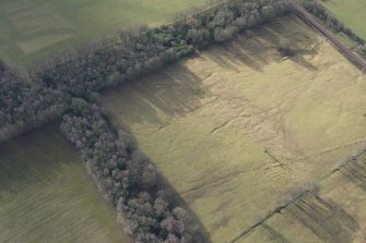 Oblique aerial view.