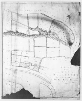 Mechanical copy of drawing showing plan of part of the estate of Tullibody.