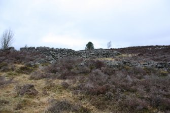 Sheepfold. General view of S corner, direction N