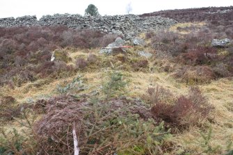 View along dyke running up to the S corner of the sheep fold, direction N