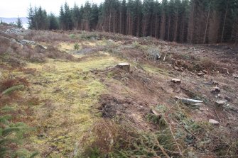 View along low ridge and shallow hollows along the outside of the projected line of the annexe rampart, direction ESE