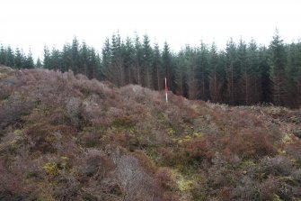 View towards the NW end of the low ridge along the outside of the projected line of the annexe rampart, direction SSE