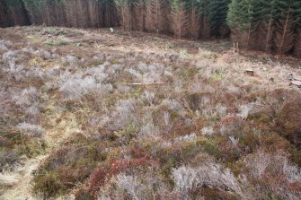 View along the N end of the W annexe rampart , direction SW