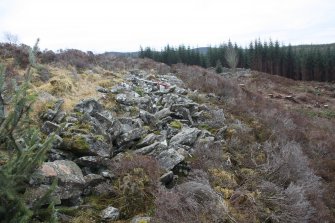 View along the main rampart to the N of the annexe, direction S