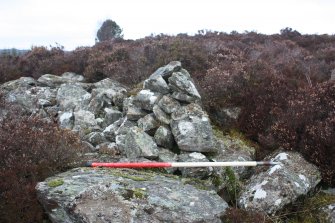 Small cairn (Cairn 16) built on top of the main rampart near the SW corner of the fort., direction N