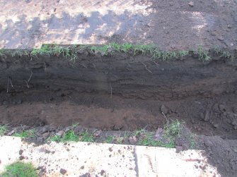 North facing section showing rising subsoil, direction S