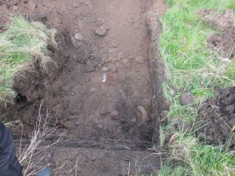 View of Trial Pit 10 topsoil stripped, direction W