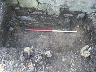 Trench 2. Floor horizon defined by layer of crumbly mortar (011), direction S