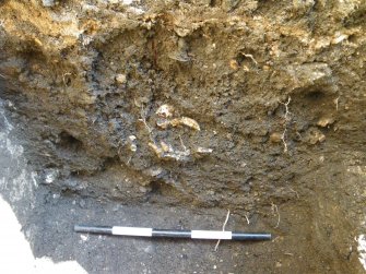 WB SE area. Detail of NW facing section at NE end of trench showing human bones  facing E