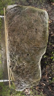 The Roundel inscribed stone