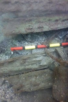 Photograph with detail of diver investigation onto the Iris