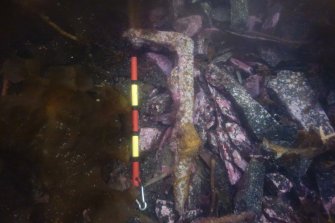 Photograph with detail of diver investigation onto the Iris