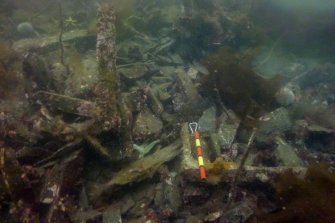 Photograph with detail of diver investigation onto the Iris