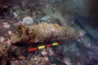 Photograph with detail of diver investigation onto the Iris