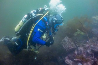 Photograph with detail of diver investigation onto the Iris