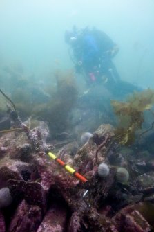 Photograph with detail of diver investigation onto the Iris