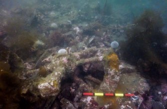 Photograph with detail of diver investigation onto the Iris