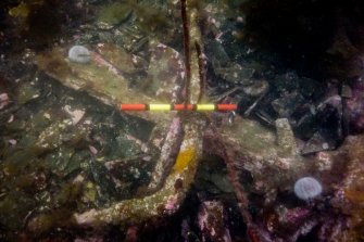 Photograph with detail of diver investigation onto the Iris