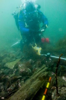 Photograph with detail of diver investigation onto the Iris