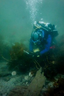 Photograph with detail of diver investigation onto the Iris