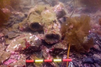 Photograph with detail of diver investigation onto the Iris