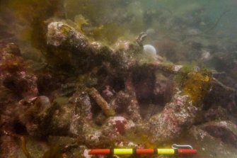Photograph with detail of diver investigation onto the Iris