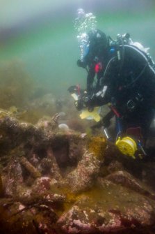 Photograph with detail of diver investigation onto the Iris
