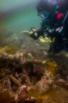 Photograph with detail of diver investigation onto the Iris