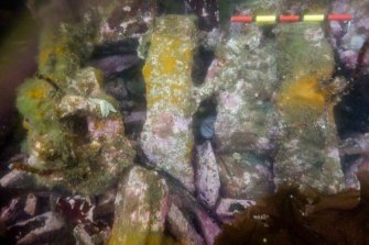 Photograph with detail of diver investigation onto the Iris