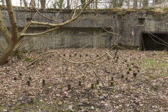 Detail of the holdfast bolt ring in the floor of northern 9.2-inch north gun emplacement.