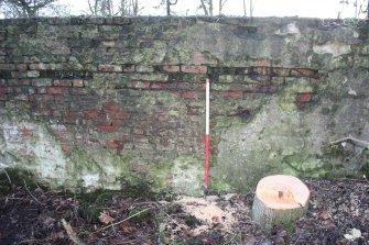 Wall on south side of Ice house - N facing elevation of wall showing concrete render