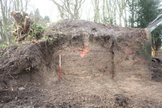 E facing shot of Ice house inner structure and section of soil mound