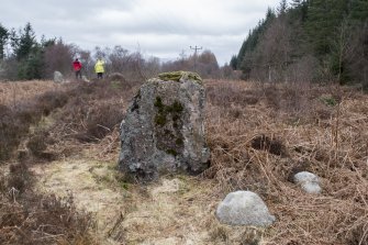 View of standing stone from S