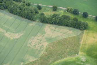 Oblique aerial view.