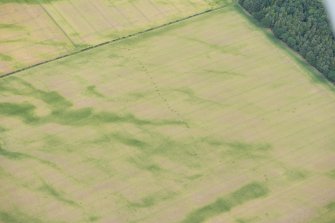 Oblique aerial view.