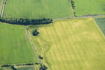 Oblique aerial view.