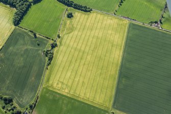 Oblique aerial view.