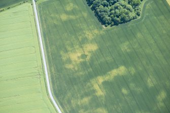 Oblique aerial view.