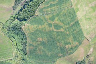 Oblique aerial view.