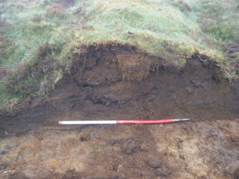 Site 18. Slot C. S-facing section through W side of enclosure.