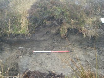Site 18. Slot B. W-facing section through N side of enclosure.