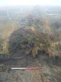 Site 18. Slot B. W-facing section through N side of enclosure.
