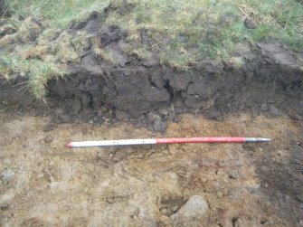 Site 18. Slot A. S-facing section through E side of enclosure.