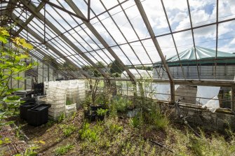 Interior view of westernmost greenhouse section from the north-west, in Walled Garden, Housedale, Dunecht House.