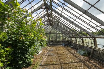 General view of central section of greenhouse from the west, Walled Garden, Housedale, Dunecht House.