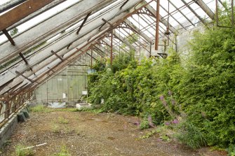 General view of easternmost section of greenhouse from the east, Walled Garden, Housedale, Dunecht House.